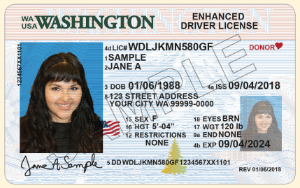 Enhanced Driver's License for International Travel